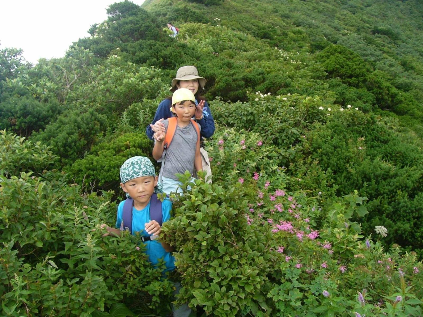 Shukubo Kansho-in Temple Sanrakuso Daisen  Bagian luar foto