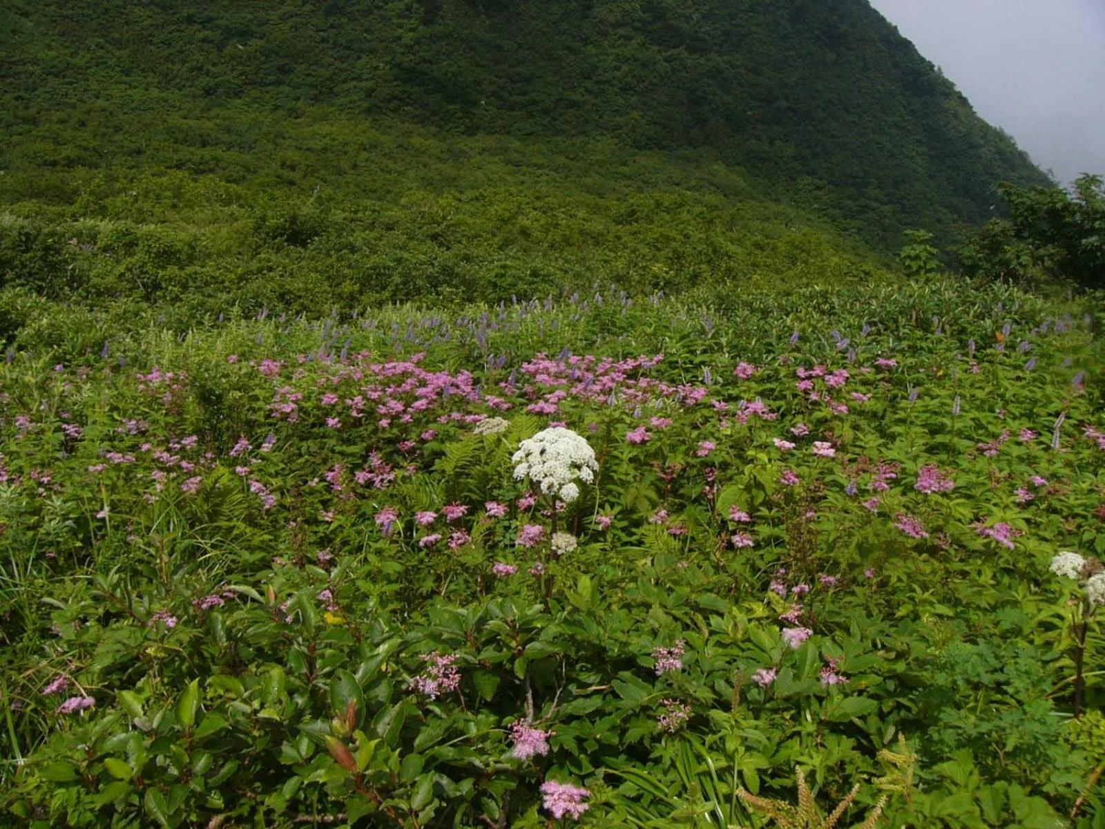 Shukubo Kansho-in Temple Sanrakuso Daisen  Bagian luar foto